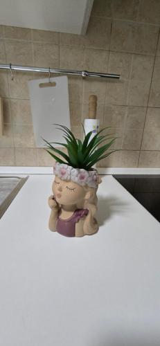 a potted plant sitting on top of a counter at Bee House in Bosa