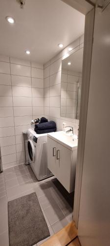 a bathroom with a washing machine and a sink at Studio apartment 10mins from Oslo Cent. station. in Oslo