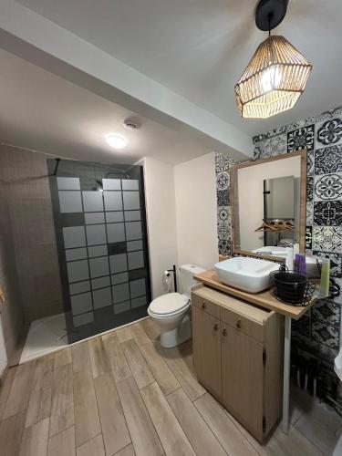 une salle de bain avec toilettes, lavabo et miroir dans l'établissement La Petite Maison de la rue Fontaine Saint-Fursy, à Péronne