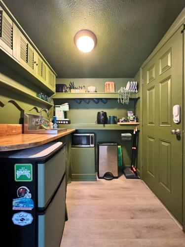 a kitchen with green walls and a sink and a dishwasher at Palm Paradise Retreat in St. Petersburg