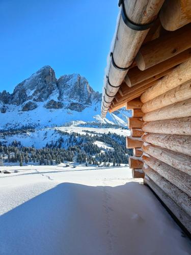 a log cabin with a view of the mountains at chalet soredl in Antermoia