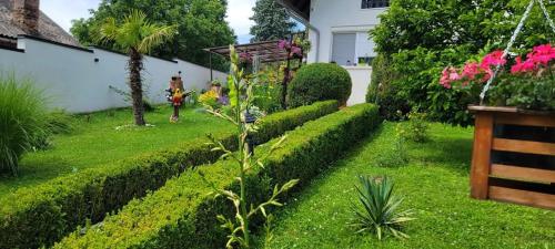 a garden with green hedges and pink flowers at Vila Jovana in Vrdnik
