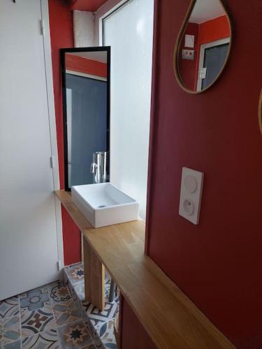 une salle de bain avec un lavabo et un miroir dans l'établissement Petite maison indépendante, à Briollay
