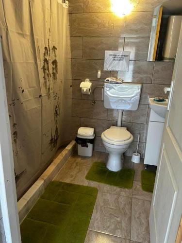 a small bathroom with a toilet and a shower at Casa Vera in Corbu