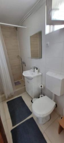 a white bathroom with a toilet and a sink at Vila Jovana in Vrdnik