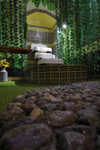 a room with rocks in the middle of a room with plants at Azcami Boutique Hotel in Puebla