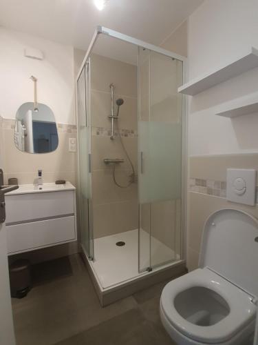 une salle de bain avec douche et toilettes dans l'établissement Face à la mer en première ligne pour 6 personnes avec Ménage Linge et Wifi, à Arcachon