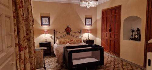 a bedroom with a bed and a tv in a room at El Granero de Manzanares in Manzanares