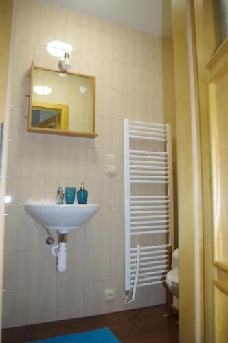 a bathroom with a sink and a mirror and a toilet at Apartment Baťův Domek in Malá Morávka