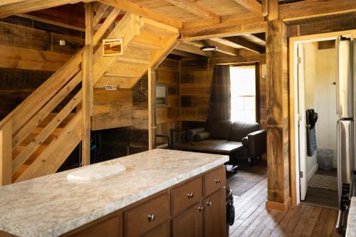 una cucina con piano di lavoro in una camera di Wanee Lake Golf & RV Resort ad Ashburn