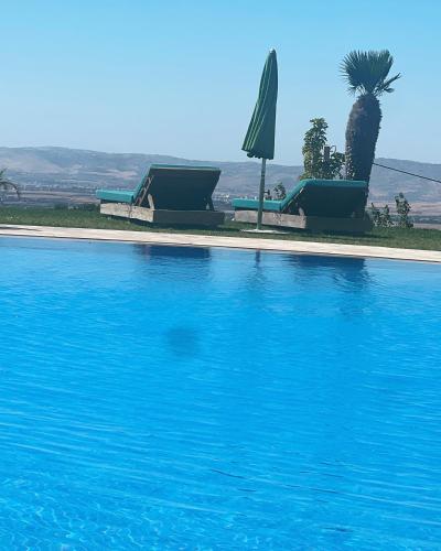 a large blue swimming pool with a palm tree at Bhalil Farm House in Sefrou