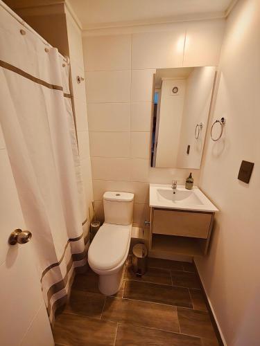 a small bathroom with a toilet and a sink at Confort de Ñuñoa in Santiago