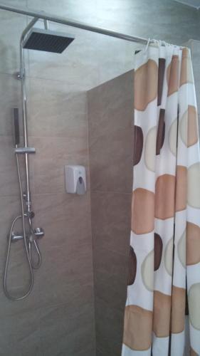 una ducha con cortina de ducha en un baño en Mimi Apartment, en Nyíregyháza