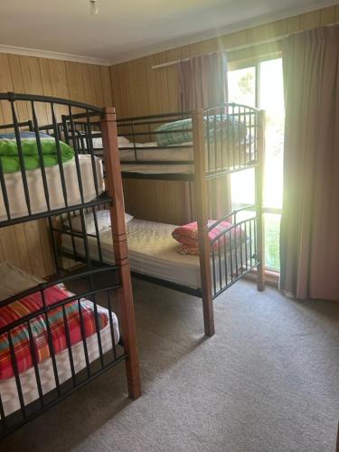 two bunk beds in a room with a window at Bundalong Hideaway in Bundalong