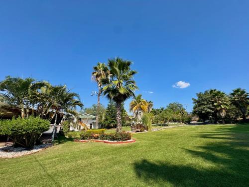 a park with palm trees and a green lawn at Casa Palma in Xochitepec