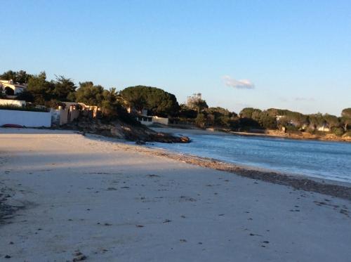 Φυσικό τοπίο κοντά σε αυτός ο ξενώνας