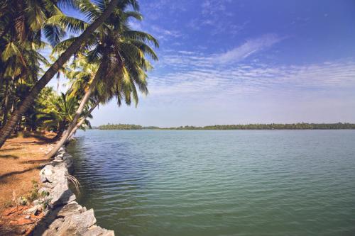 a beach with palm trees and a large body of water at Paradise Lagoon in Kalyānpur
