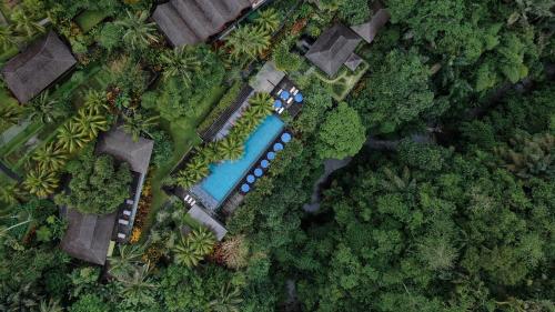 an overhead view of a pool in a forest at Chapung Sebali Resort in Ubud