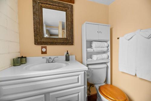 ein Badezimmer mit Waschbecken, Toilette und Spiegel in der Unterkunft The Cedar Bear Lodge, Jacuzzi with an Outdoor Patio & BBQ in Big Bear City Airport