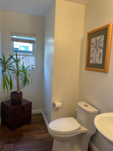 Ένα μπάνιο στο 4Bd Spacious Oasis near wineries