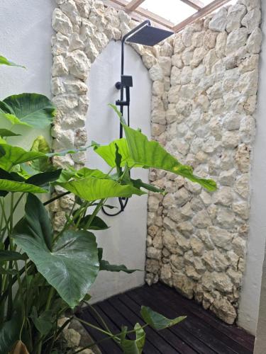 a room with a stone wall and a plant at Little Elephant Cottage in Gili Trawangan