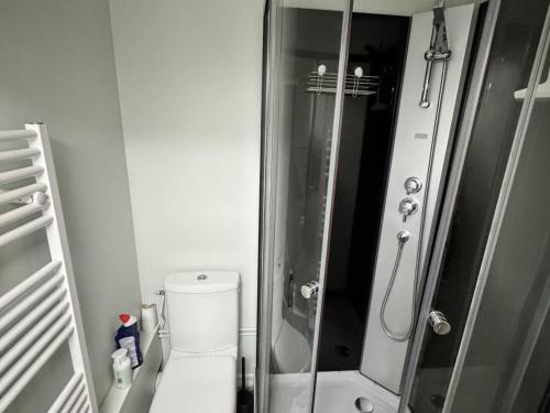 une petite salle de bain avec toilettes et douche dans l'établissement Joli appartement 2 pièces avec balcon et parking à Villers-sur-Mer - FR-1-712-90, à Villers-sur-Mer