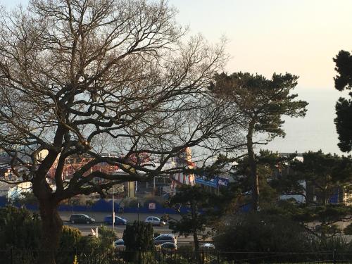 a group of trees in a parking lot with the ocean at Pier View Self Catering Luxury Apartments in Southend-on-Sea
