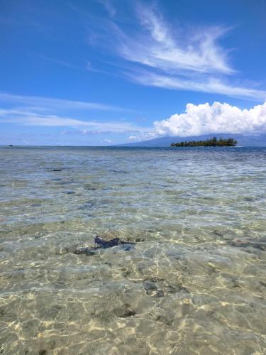 an island in the middle of a large body of water at bungalow vue lagon 180 degré, la maison bleue in Moorea