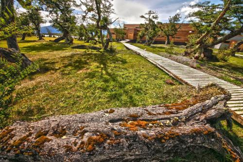 a tree branch laying on the grass next to some stairs at Pampa Lodge, Quincho & Caballos in Torres del Paine