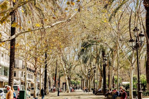 Plaza de la Magdalena II