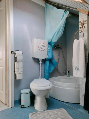 a small bathroom with a toilet and a bath tub at Casa Maria in Sarmizegetusa