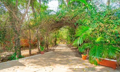 an archway in a garden with trees and a sidewalk at Wild Camp- The Nature Resort in Khodāla