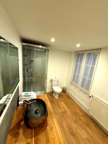 une salle de bain avec toilettes et douche en verre dans l'établissement Le Renaissance Appartement au cœur de Langres, à Langres