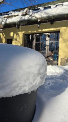 a pile of snow on top of a trash can at Łapszanka 29 in Łapszanka