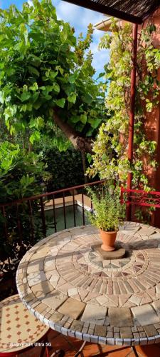 Κήπος έξω από το Le Belvédère - Chambres d'hôtes de charme et Restaurant