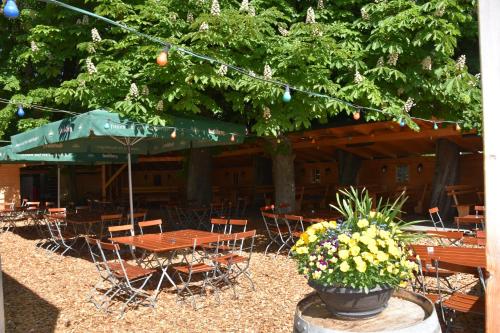 a group of tables and chairs under a tree at Gasthaus und Pension Halli-Galli in Passau