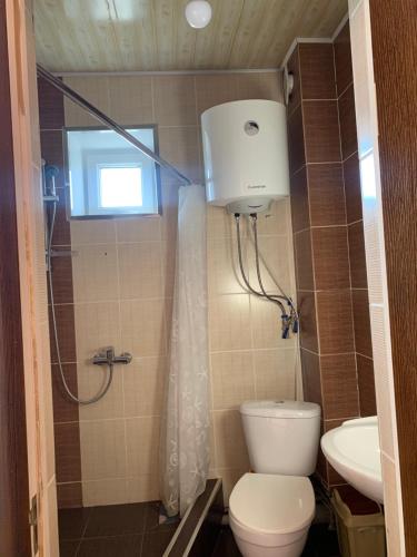 a bathroom with a toilet and a sink at Гостевой дом "Светлана" in Cholpon-Ata