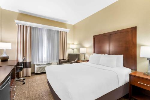 a hotel room with a large bed and a desk at Comfort Inn & Suites Near University of Wyoming in Laramie