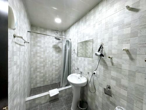 トビリシにあるHotel Homeのシャワー、トイレ、洗面台を備えたバスルーム