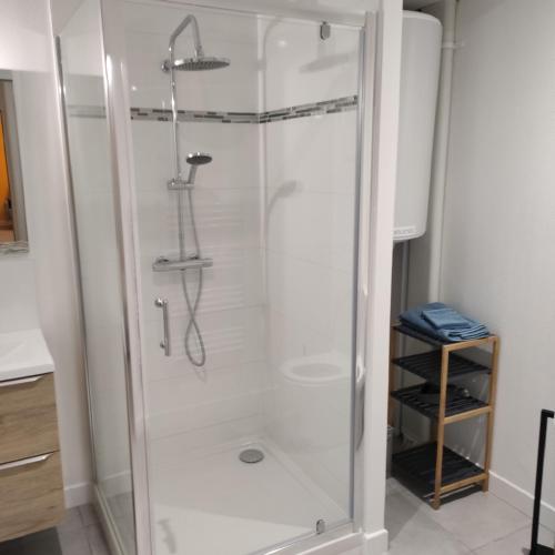 une douche avec une porte vitrée dans une salle de bain dans l'établissement Appartement Cosy avec place de parking privée, au Mans