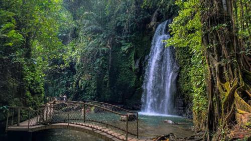 a waterfall and a bridge in front of a waterfall at Pondok D Angga Tampaksiring in Tegalalang