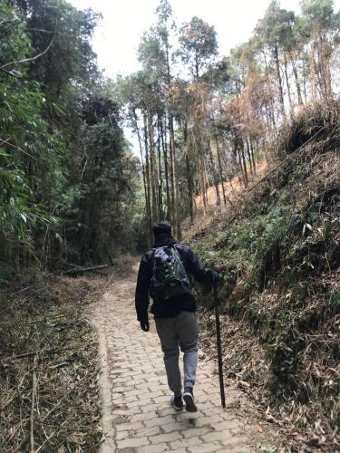 a man walking down a path in the woods at Taj Guras Kutir Resort & Spa, Gangtok in Gangtok