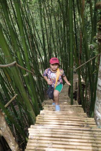 a young girl walking down a wooden bridge in a bamboo forest at Doichang view-Sunset room in Ban Huai Khai
