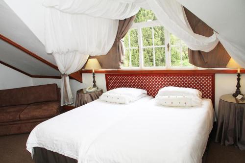 a bedroom with a white bed and a window at Evergreen Lodge in Stellenbosch
