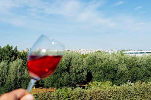 a person holding a glass of red wine at Tenuta Ulivi in Putignano