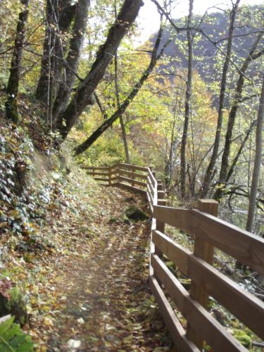a wooden fence on a trail in the woods at gite au creux de la Vallée in Brezons