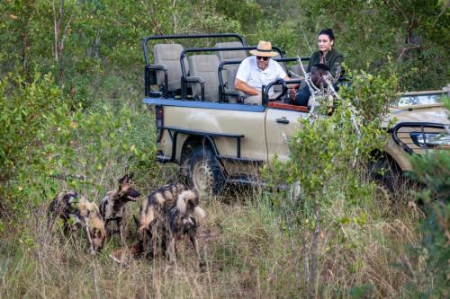 a group of people in a jeep with a group of animals at Leopard Hills Private Game Reserve in Sabi Sand Game Reserve