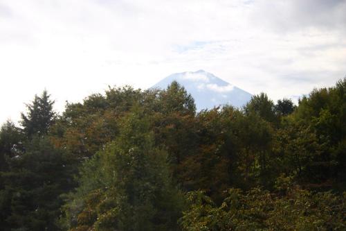 a mountain in the distance behind some trees at 916旅の宿 in Fujiyoshida
