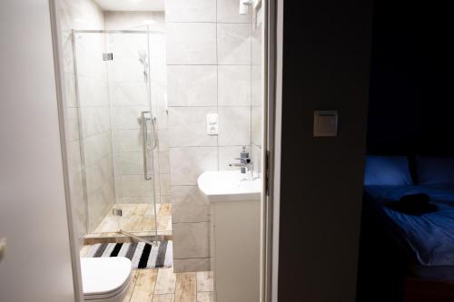 a bathroom with a shower and a toilet and a sink at Apartamenty Energo in Bytom