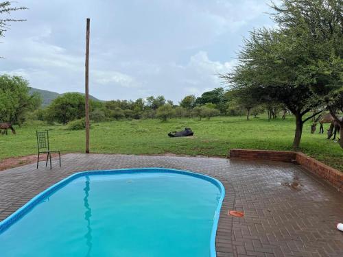 a blue swimming pool with a field in the background at Thandile Country Lodge in Bela-Bela
